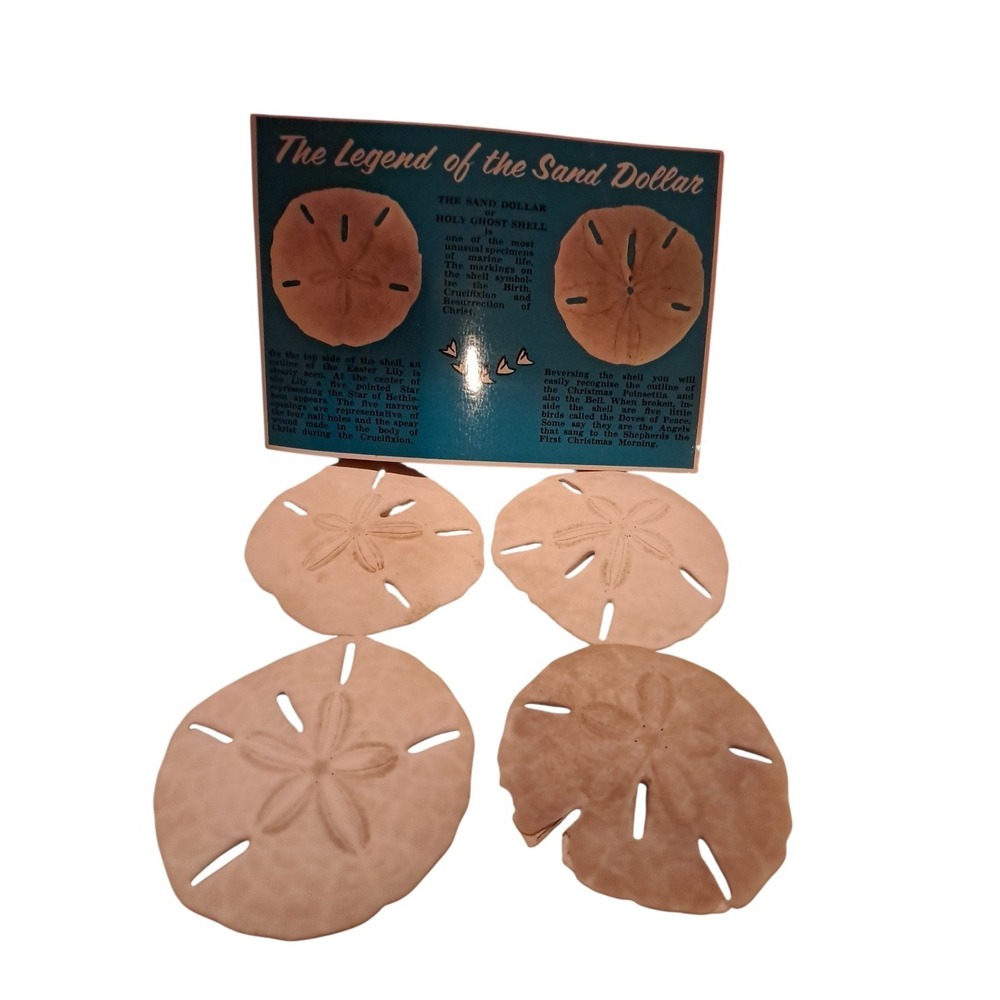 Postcard Legend of the Sand Dollar Plus 4 Sand Dollars
